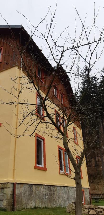 Haus Stefanie Elvire Apartment Altenberg Exterior photo
