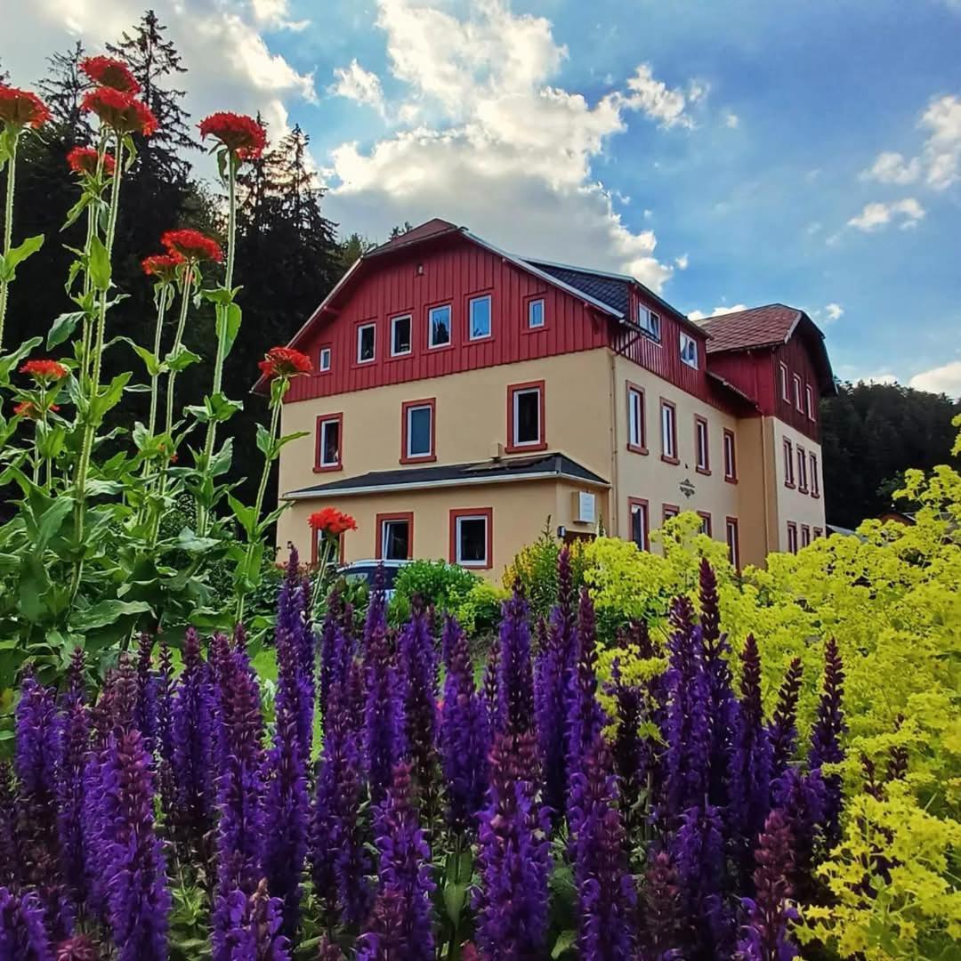 Haus Stefanie Elvire Apartment Altenberg Exterior photo